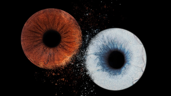découvrez les dernières innovations en intelligence artificielle à saint-martin-d'hères. plongez dans un écosystème dynamique où chercheurs et entreprises collaborent pour façonner l'avenir. rejoignez-nous pour explorer des projets passionnants et des opportunités uniques dans le domaine de l'ia.