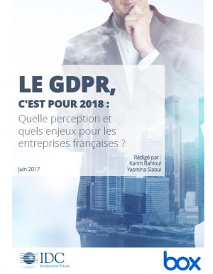 découvrez les enjeux critiques du gdpr pour votre site web. apprenez comment se conformer à la réglementation sur la protection des données tout en protégeant la vie privée de vos utilisateurs et en renforçant la confiance client.