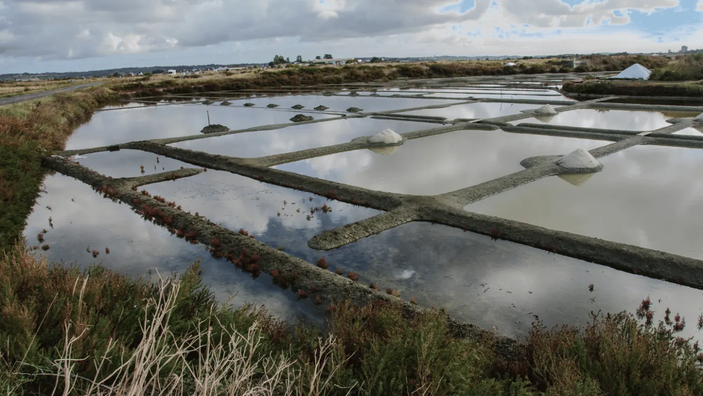 Les marais salants de Guérande, en Loire-Atlantique