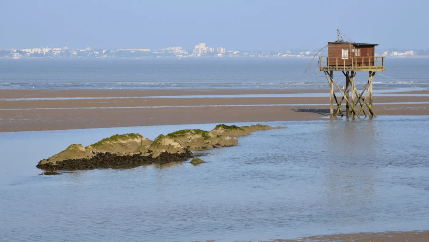 La plage et les pins de Saint-Brévin-les-Pins